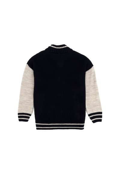 U.s. Polo Assn. Erkek Çocuk Lacivert Hırka Triko 50293046-vr033 Lacivert