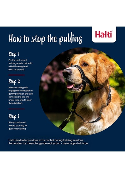 Company Of Animals Baş Tasması - Dolgulu Burun Bandı, Ayarlanabilir Ve Yansıtıcı, Küçük Köpekler İçin Profesyonel Çekme Önleyici Eğitim Yardımcısı Boyut 1, Kırmızı