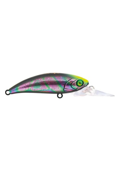 Hanfish Zıpır Ug Spin Star