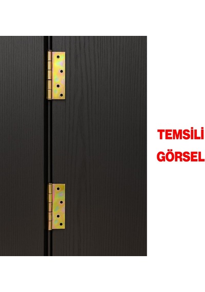 Metal Yaprak Menteşe 2 Adet Prinç Sarı No:5 Mobilya Pencere Kapı Dolap Pvc Menteşesi İki Kanatlı Diğer