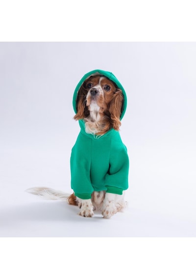 Yeşil Bronx Brave Köpek Hoodie Köpek Sweat Köpek Kıyafeti Kedi Kıyafeti