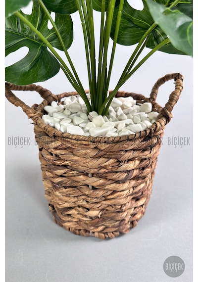 Yapay Monstera Deve Tabani 65 Cm Demi R Destekli Kulplu Hasir Saksıda Krem
