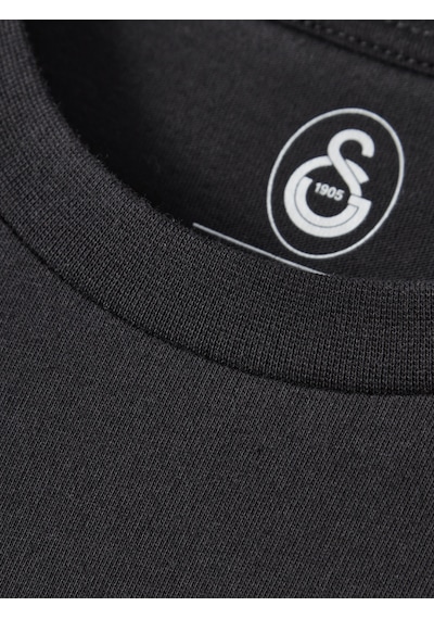 Gsstore Galatasaray Erkek T-shirt E252102 Siyah