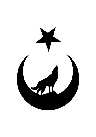 Ay Yıldız İçinde Bozkurt Oto Özel Yeni Sticker Siyah 25 X 32 Cm