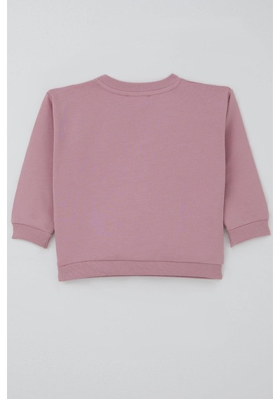 Breeze Kız Çocuk Sweatshirt Kuğu Armalı Fiyonk Detaylı 2-6 Yaş, Gülkurusu Gül Kurusu