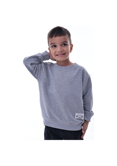Erkek Çocuk Gri Sweatshirt %100 Pamuk 12 Ay 5 Yaş Rahat Kalıp Basic Günlük Üst Gri