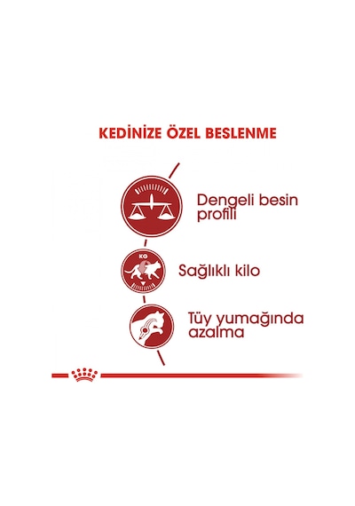 Royal Canin FHN Fit 32 Yetişkin Kedi Maması 400 G