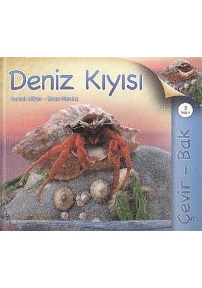 Çevir Bak / Deniz Kıyısı / Simon Mendez