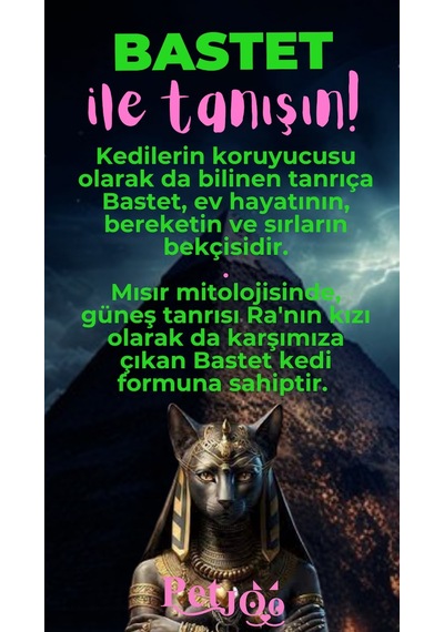 Petjoo 1.Bastet Pembe-Yeşil Qr'lı Kedi Künyesi