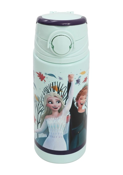 Frozen Frz Mtr Otto.45474 5pr Yeşil Kız Çocuk Matara 000000000102054238 Yeşil