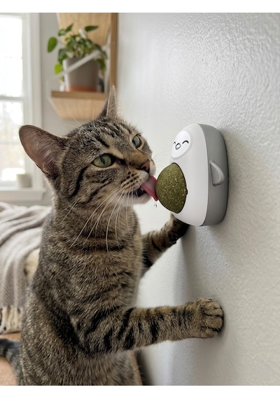 Gri Sevimli Karakter Tasarımlı Kedi Nanesi Topu - Duvara Yapışan Dönen Catnip Oyuncağı