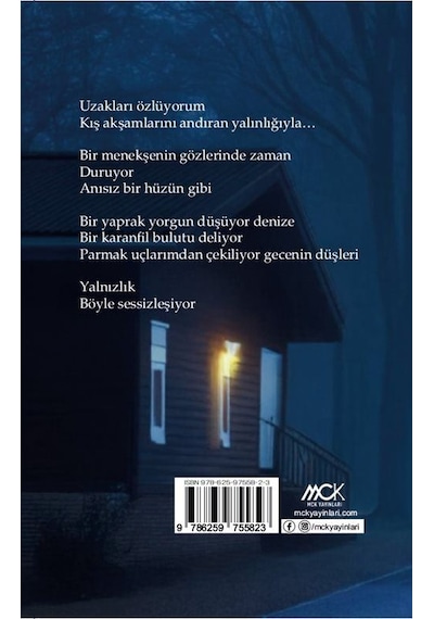 Yağmurun İçinden Geliyorum / Bahadır Apaydın