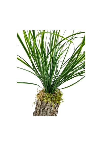 Yapay Çiçek Kütük Saksıda Saz Otu 35Cm Dekoratif Masa Çiçeği 40x