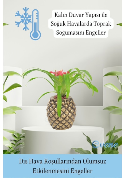 Saksı Çiçek Kaktüs Saksısı Lüx 15 cm Altın Eskitme Varak Boyalı Ananas Desen Saksı Çiçeklik