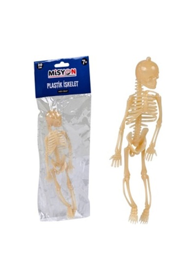 Misyon Plastik İskelet Ec-27 Msy-5647