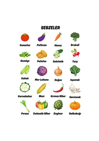 Besay Okul Öncesi Türkçe Eğitim Poster Seti 12'li A4 Çerçevesiz