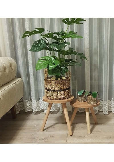 2'li Ahşap Ayaklı Çiçeklik Saksılık Standı 24 Cm Çap Atlantik Çam