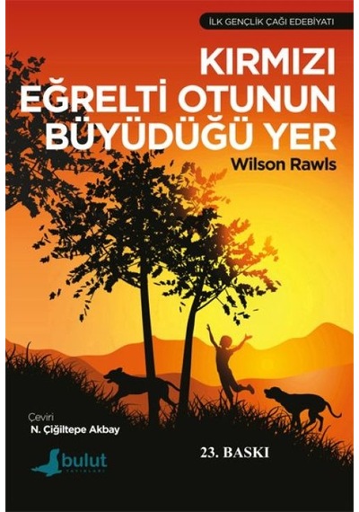 Kırmızı Eğrelti Otunun Büyüdüğü Yer - Fglt-763567