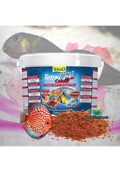Tetra Pro Colour 100 Gram Renklendirici Balık Yemi