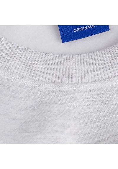 Açık Gri Jack & Jones Erkek Bisiklet Yaka Sweatshirts 12262880 001