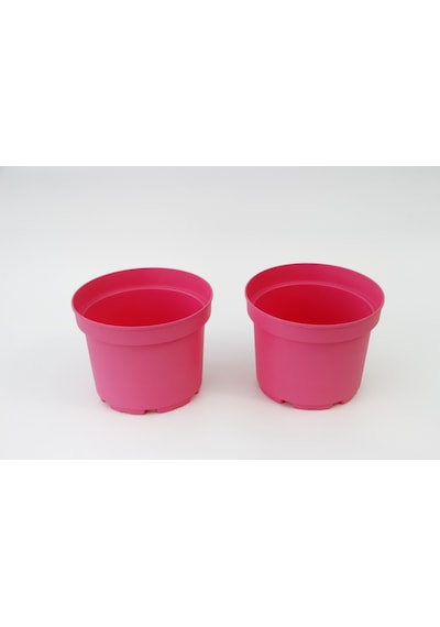 Pembe Saksı 20 Adet