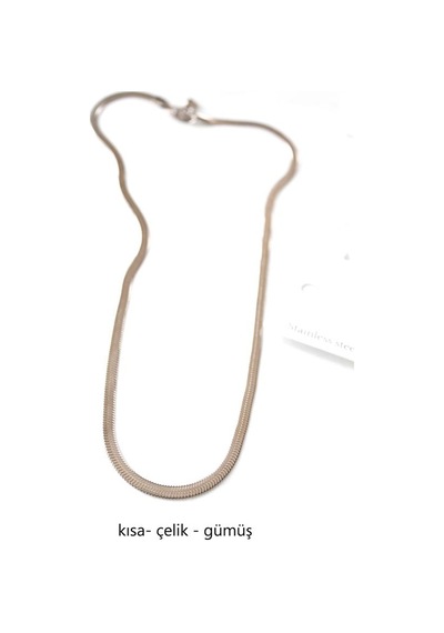 Kısa İtalyan Çelik Kolye-45 Cm - Gümüş Çok Renkli