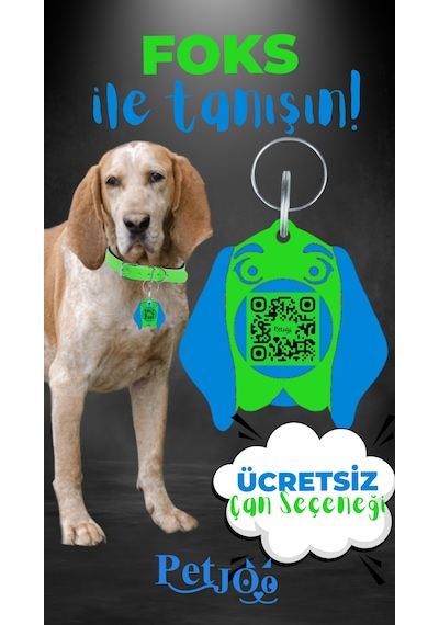 Petjoo 29.Foks Mavi-Yeşil Qr'lı Köpek Künyesi