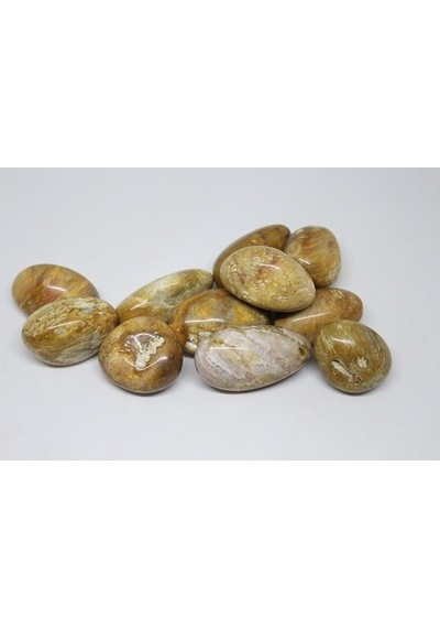 Tibet Akik Taşı ( 20-29 Gram)
