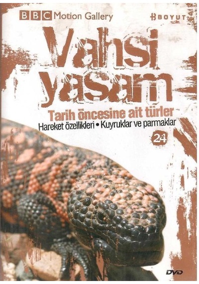 Bbc Motion Gallery - Vahşi Yaşam Tarih Öncesine Ait Türler Hareket Özellikleri Kuyruklar Ve Parmaklar - Dvd