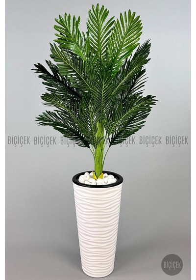 Biçiçek Areka Ağaci 150 Cm Beyaz Kumsal Saksıda Tek Gövdeli̇