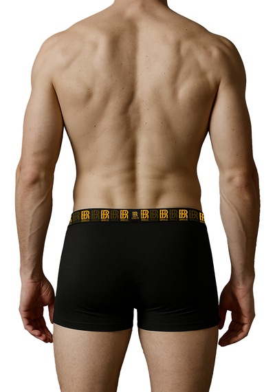 Maksfd Erkek 3 Lü Pamuklu Boxer Set Rahat Ve Esnek İç Giyim Erkek Boxer - Brros Modeli Siyah Maksfd Erkek 3 Lü Pamuklu Boxer Set Rahat Ve Esnek İç Giyim Erkek Boxer - Brros Modeli Siyah