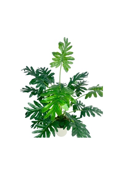 Yapay Ağaç Salon Bitkisi Syngonium 70 Cm 18 Yaprak Beyaz Saksıda