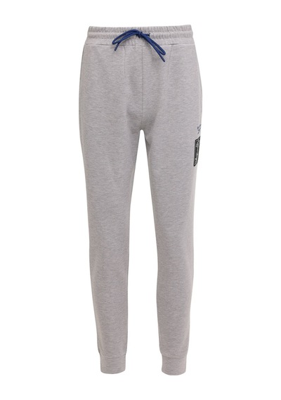 Reebok Camble Jogger Gri Erkek Eşofman Altı Gri