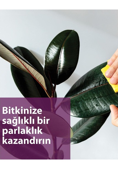 Petroturk Yaprak Parlatıcı 250 Ml 1