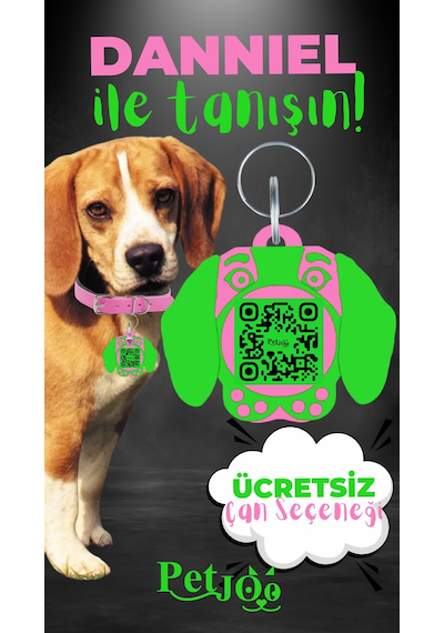 Petjoo 21.Danniel Yeşil-Pembe Qr'lı Köpek Künyesi