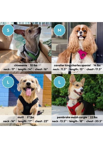 Escape Free Spor Yemek Takımı, Küçük Köpekler İçin, Neopren Yemek Takımlarından Kaçmayı Seven Köpekler İçin, Siyah, Beden L Çok Renkli