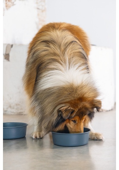 Beeztees Dbl Köpek Mama Su Kabı, Mat Siyah Paslanmaz Çelik, 20cm, 1,9l