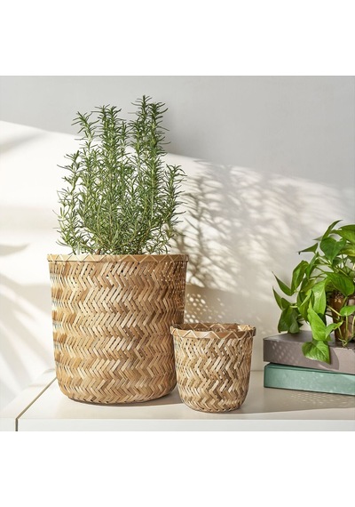 Bambu Saksı, Bambu, 24 Cm 3 Adet
