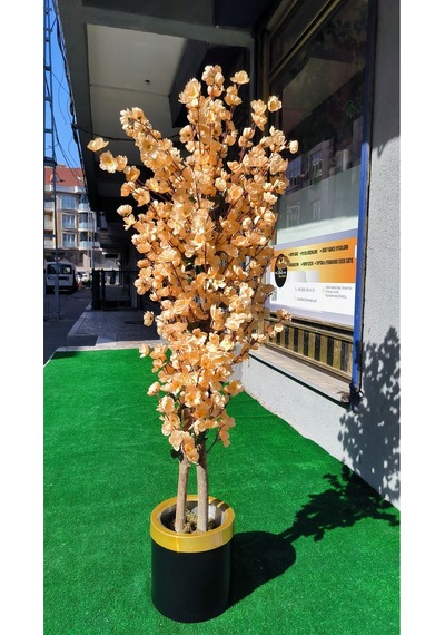 Rüzgar Yapay Çiçekçilik 160 Cm Kavun İçi Renk Bahardali Ağacı Kavunici