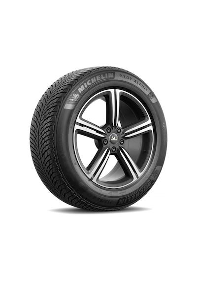 Michelin 225/55 R18 102V XL Pilot Alpin 5 Ao Kış Lastiği 2022