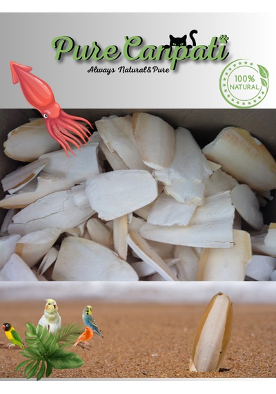 Purecanpati Kırıklı Iri Boy Kalamar Kemiği 100 G