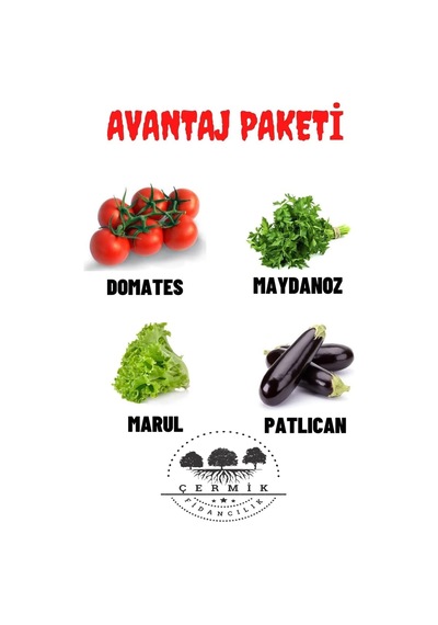 Tohum Paketi Domates , Maydanoz, Kıvırcık Marul ,patlıcan, 40 Gr