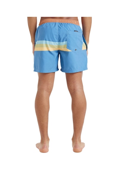 Quıksılver Quiksilver Everyday Straight Volley 15 Erkek Mavi Volley Short Blq5 Çok Renkli