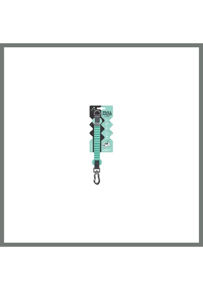 M-pets Pull Power Köpekler İçin Şok Emici Ara Tasma Yeşil 25 Cm Mmbz