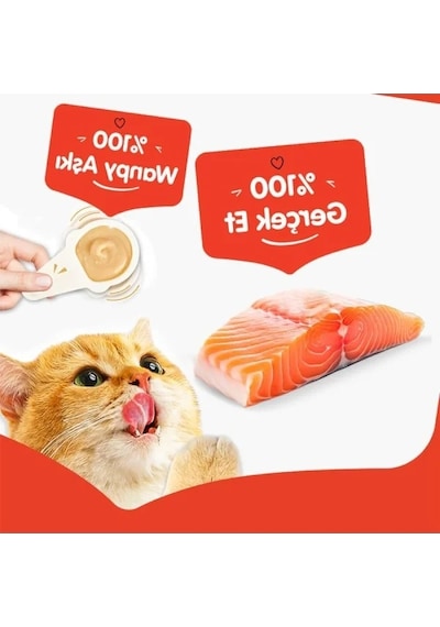 Somon Aromalı Kaşıklı Kedi Ödül Kreması 10 X 16 Gr
