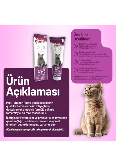 Yetişkin Kedi Multi Paste 100 G - 12 Adet
