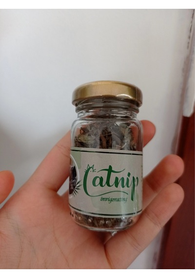 Lb Catnip Doğal Kedi Otu - Kedi Nanesi