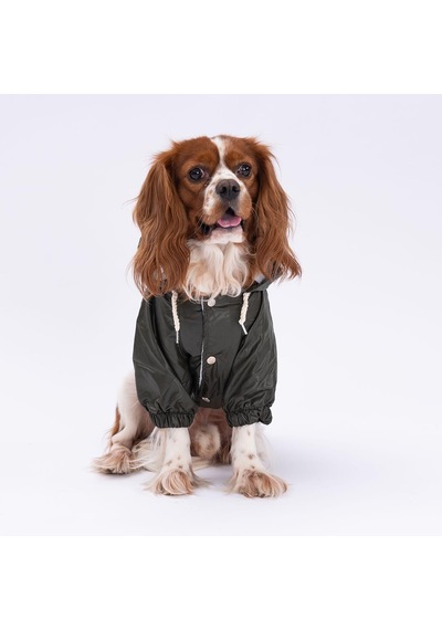 Pettrend Haki Mont Köpek Mont Köpek Kıyafeti Köpek Yağmurluğu