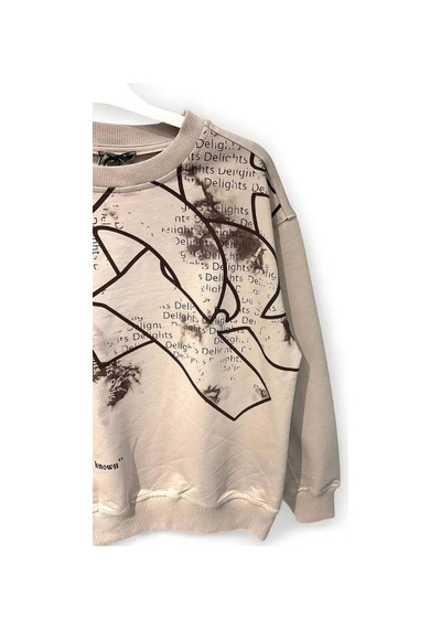 Carinos Erkek Çocuk Delights Yazılı Sweat-15185 Vizon
