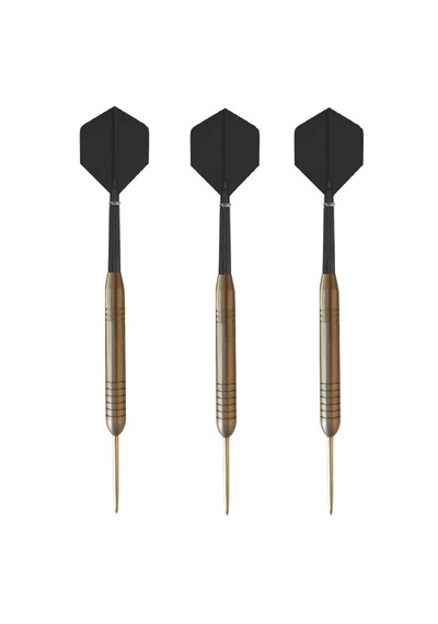 Dartsan Anka Ilk Türk Malı Çelik Dart Oku 23gr